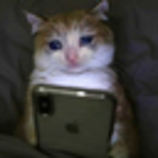 Sadcat