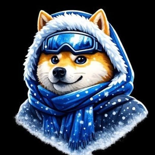 WinterDoge