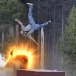 idiots
