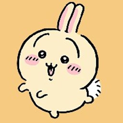 Usagi