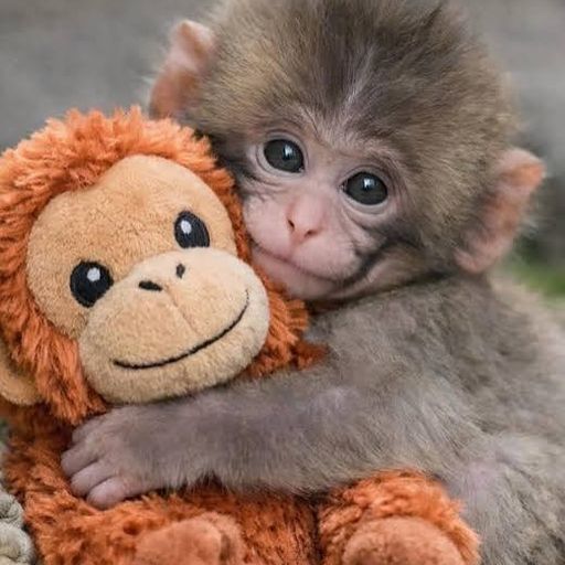 hug