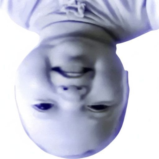 ybaB