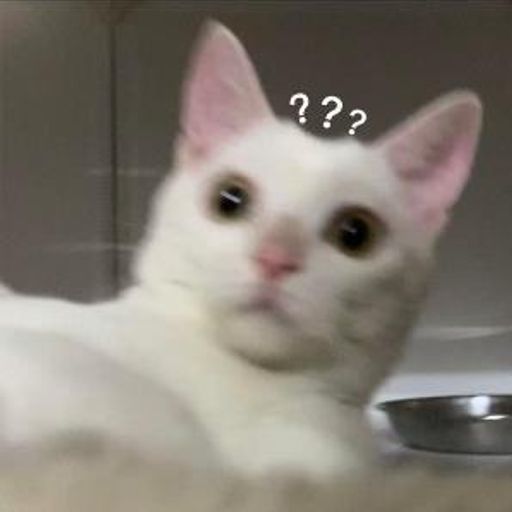三点半
