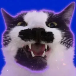 RAZOO