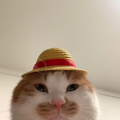 cathazhat