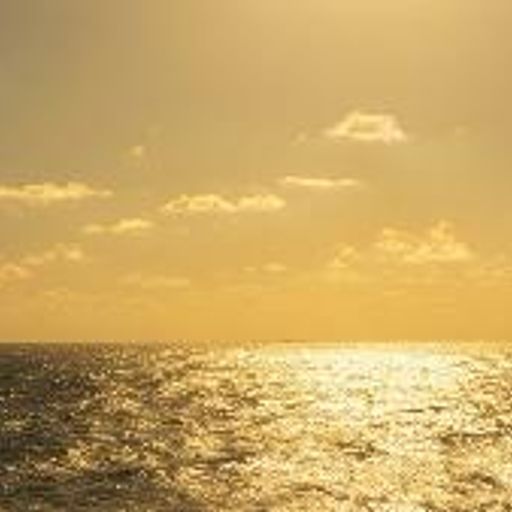 Binansea