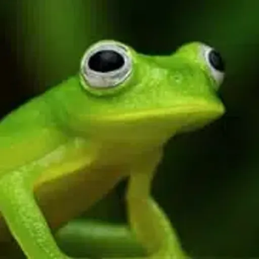 JANET