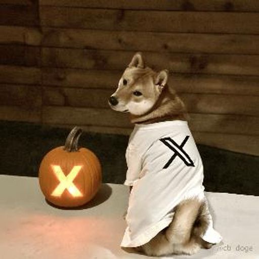 XFLOKI