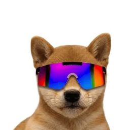 mdog