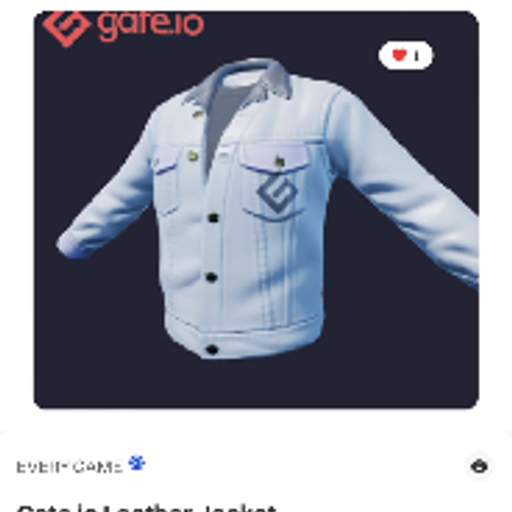 Gate衣服