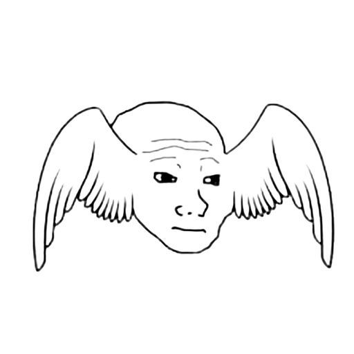 FLYJAK