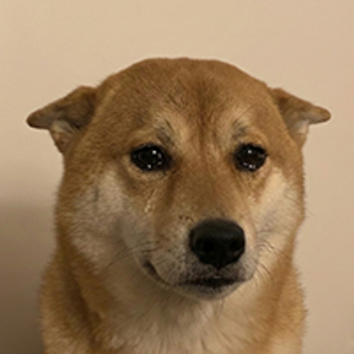 inu
