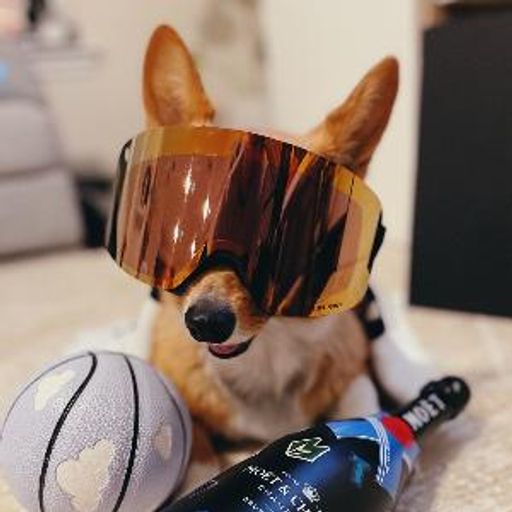AirCorgi