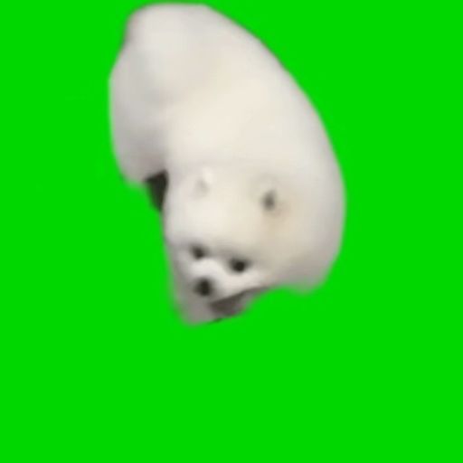 麻小