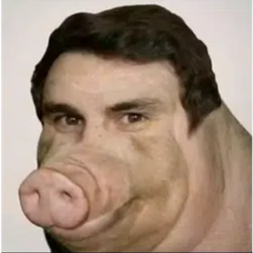 BOAR
