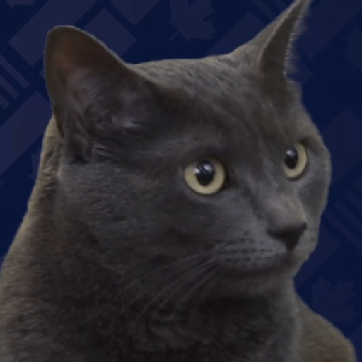 Cass