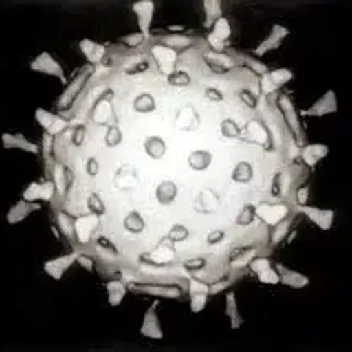 ROTAVIRUS