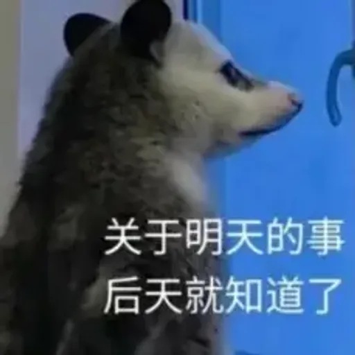 負鼠
