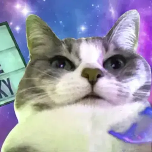 CHONKY