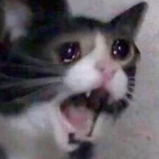 Aaaaaaaaaa