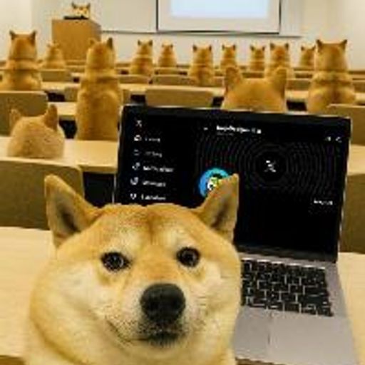 DOGE DAY