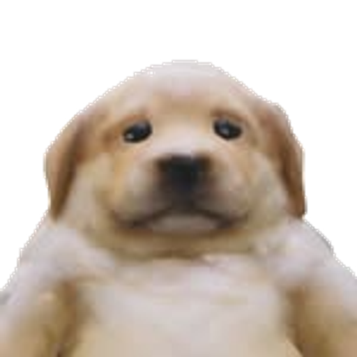 SADDOG