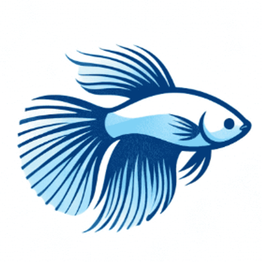 Betta