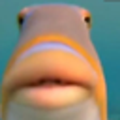 FISH