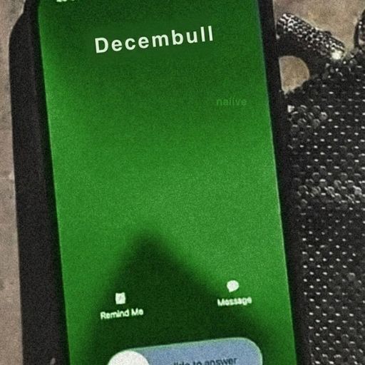 DECEMBULL