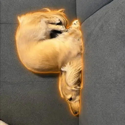 ちゃちゃ