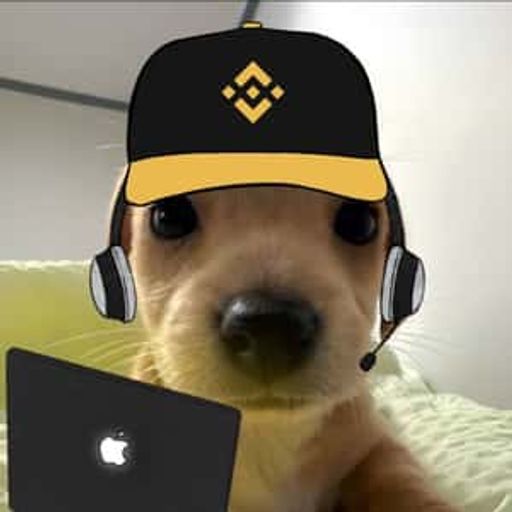 BB