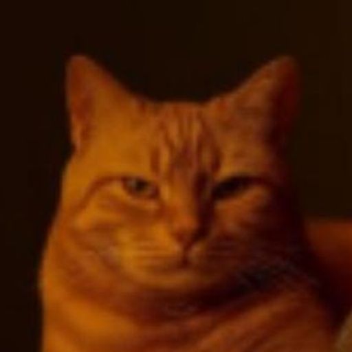 Billi