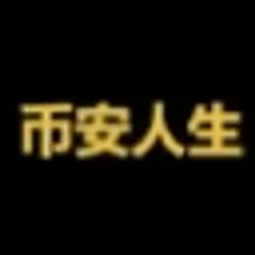 币安人生