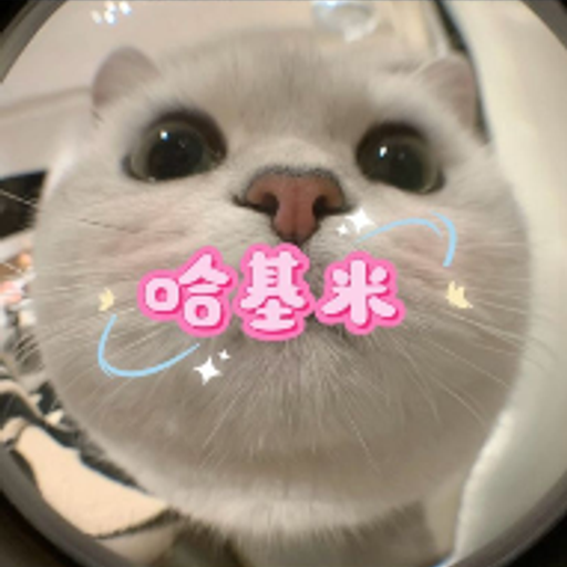 哈基米