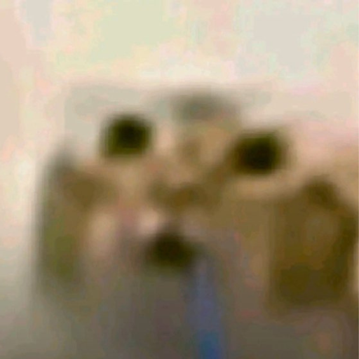 droolcat