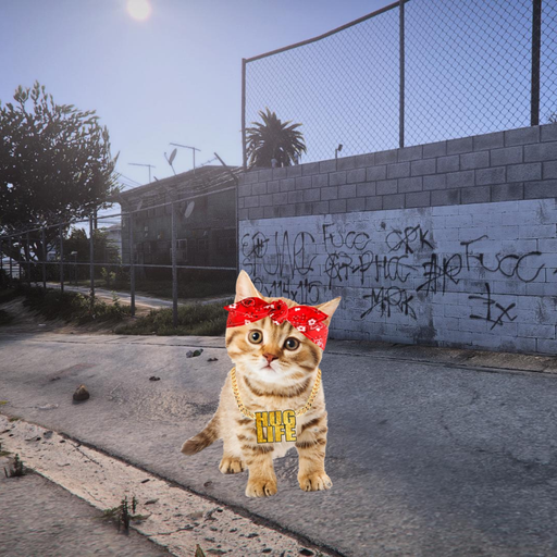 streetcat