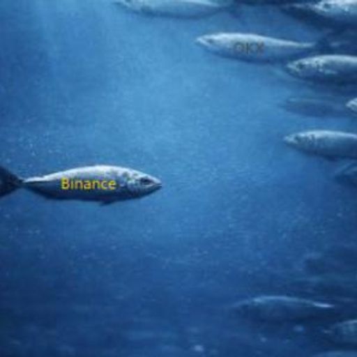 Binance Fish