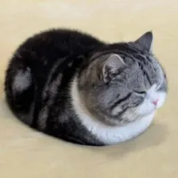 铁铁
