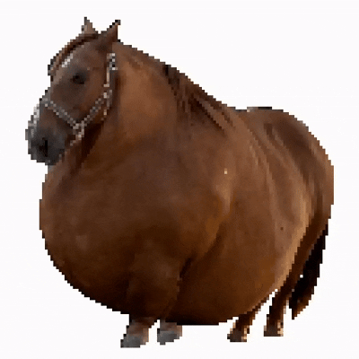 CHUBBIE