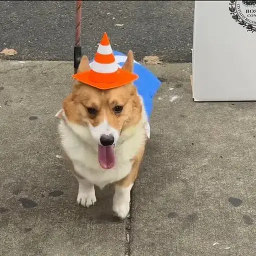 ROCKO