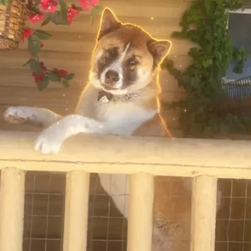 Reuben