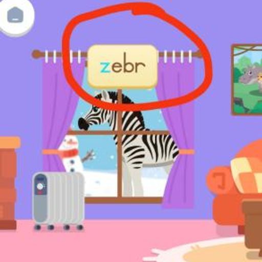 Zebr