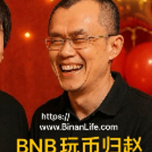BNB玩币归赵