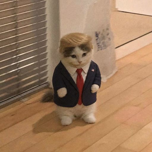 TRUMCHI
