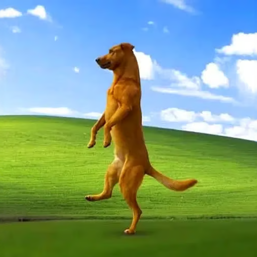 dadog