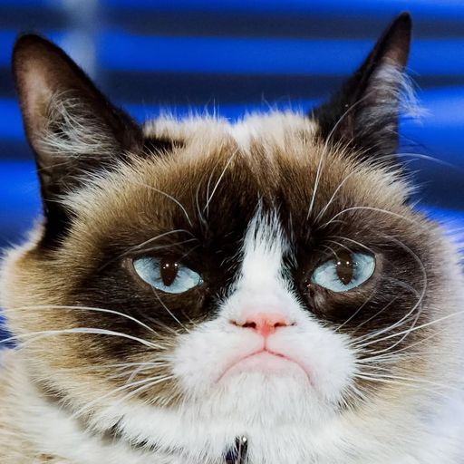 GRUMPY