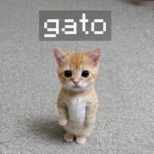 gatocat