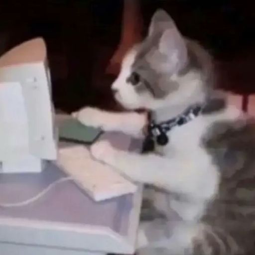 打工猫