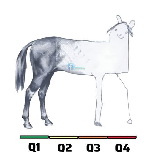 2025