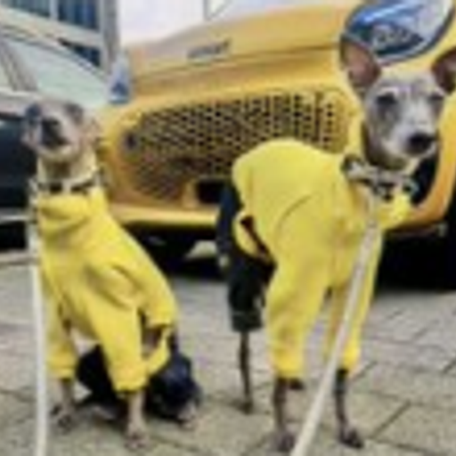 Binancedog